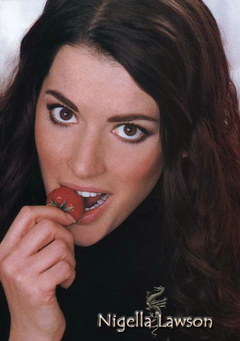 Nigella Lawson Fakes